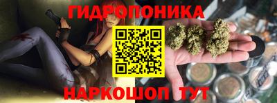 прущие крисы Комсомольск-на-Амуре