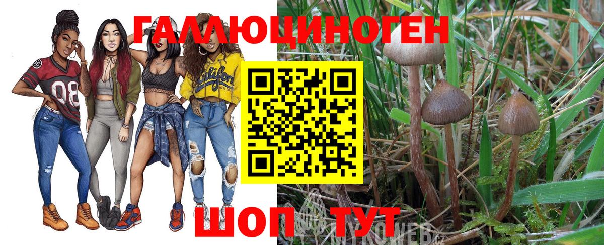где купить наркоту  Псилоцибиновые грибы мицелий  Вход с VPN  Сочи 